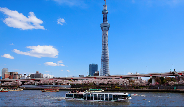 4 điểm tham quan tuyệt vời tại tokyo, nhật bản nên ghé thăm
