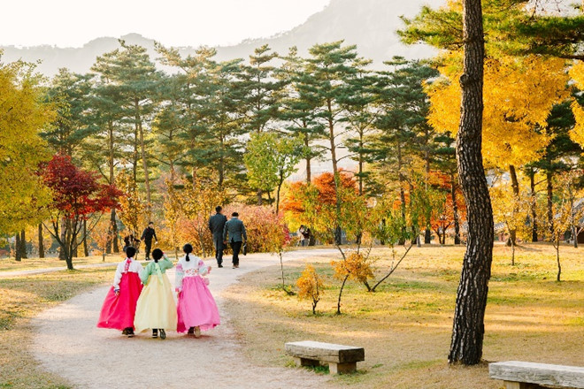 Những lý do bạn nên đi du lịch Hàn Quốc vào tháng 10!