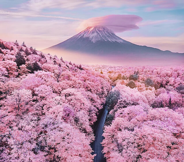 Du lịch Nhật Bản ghé thăm núi Phú Sĩ