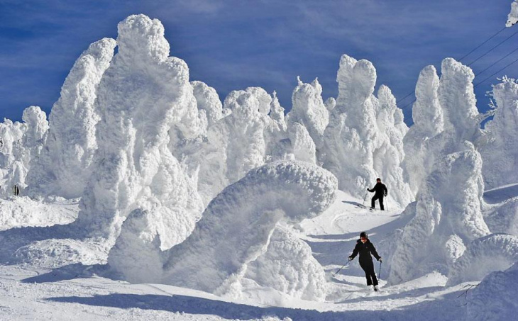 Lạc Bước Trong Khu Trượt Tuyết Zao Onsen ở Nhật Bản