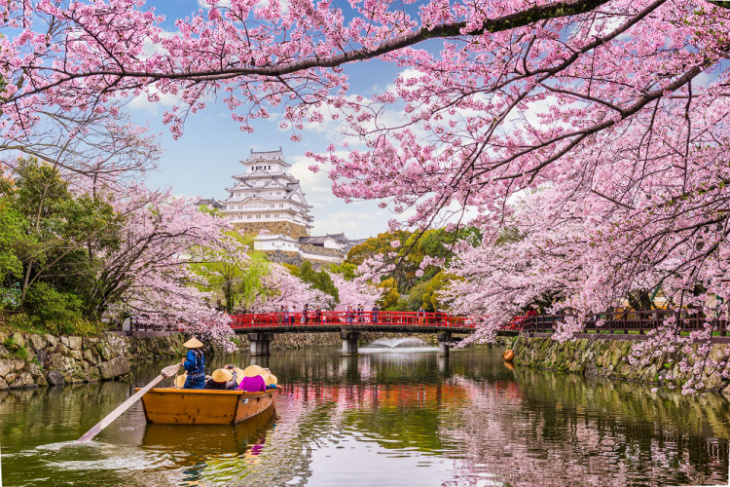 Du lịch Nhật Bản vào mùa hoa anh đào khá là thú vị!