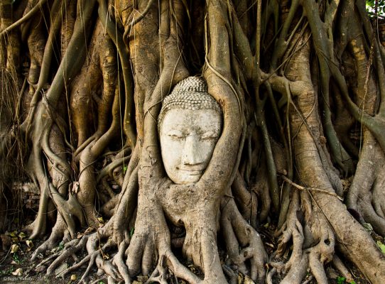 khám phá công viên lịch sử ayutthaya