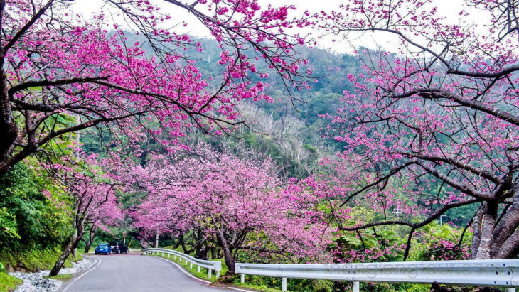 Nhật Bản Với Những điểm Du Lịch đẹp Như Tranh Vẽ