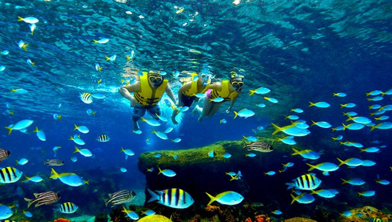Thủy Cung Sea Aquarium Tuyệt Vời Tại Singapore
