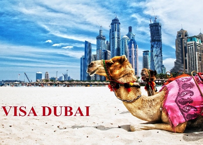 Kinh nghiệm du lịch Dubai tự túc từ A đến Z