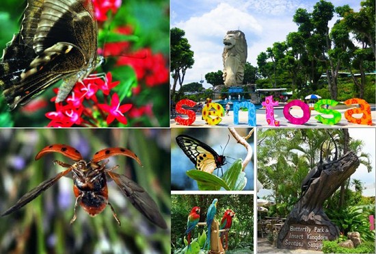bạn biết gì về hòn đảo sentosa ở singapore ?