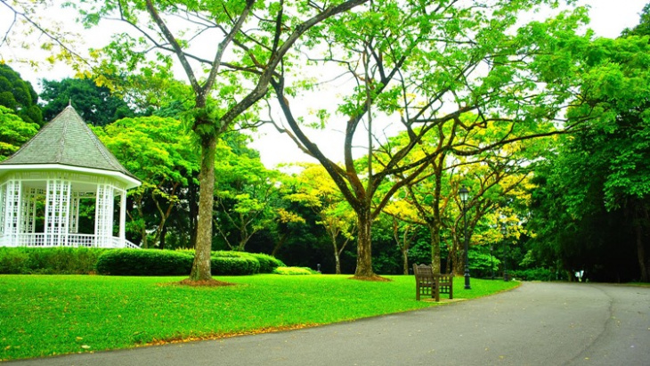bạn biết gì về vườn bách thảo singapore