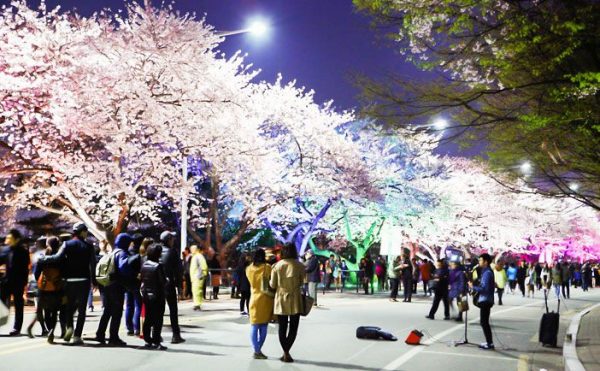 7 lễ hội không thể bỏ qua tại Seoul