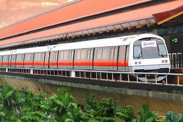 ghé thăm công viên sư tử biển merlion park – biểu tượng của singapore