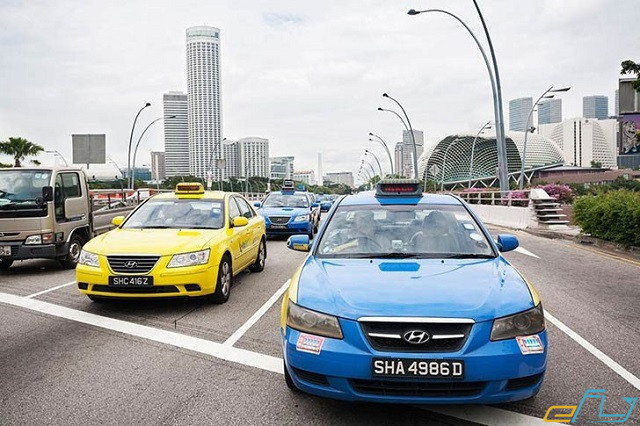 ghé thăm công viên sư tử biển merlion park – biểu tượng của singapore