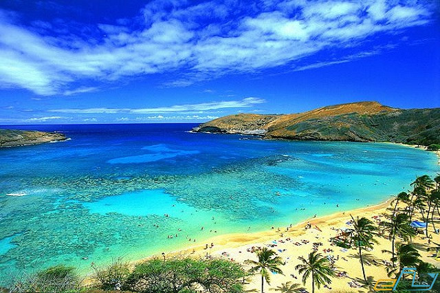 vẻ đẹp hút hồn du khách của đảo oahu hawaii