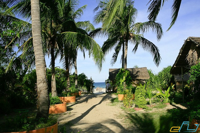 trải nghiệm cuộc sống “hoang dã” ở jungle beach nha trang