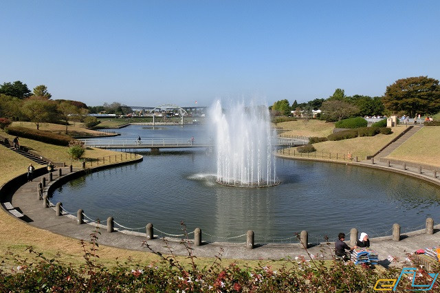 khám phá vẻ đẹp bốn mùa tại công viên hitachi seaside – nhật bản