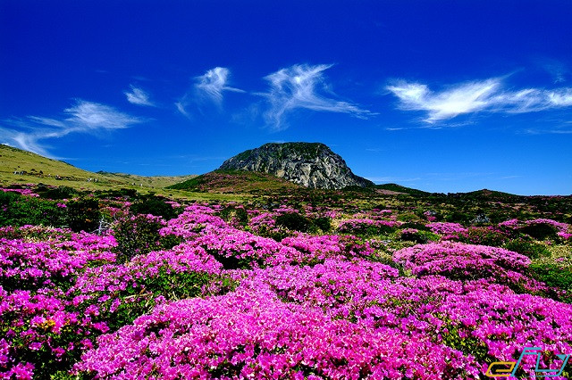 Các địa điểm du lịch ở đảo Jeju không thể bỏ qua