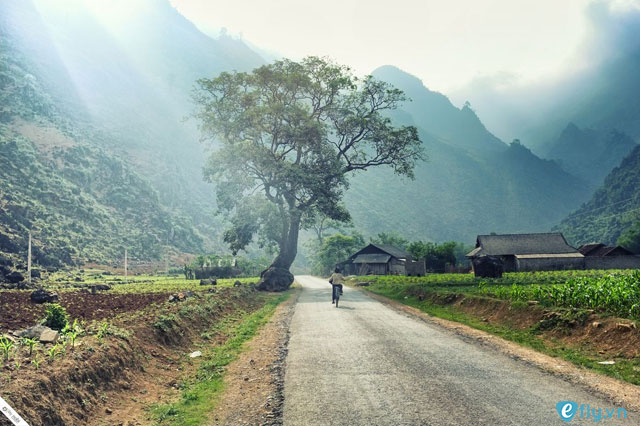 du lịch hà giang tháng 10 – rộn ràng mùa lễ hội hoa tam giác mạch