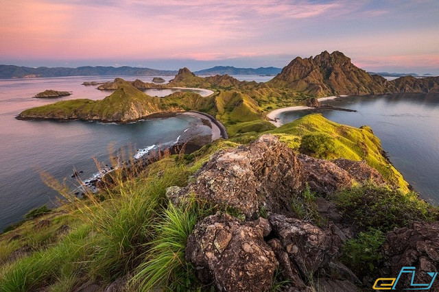 Khám phá bí ẩn đảo rồng Komodo tại đất nước Indonesia