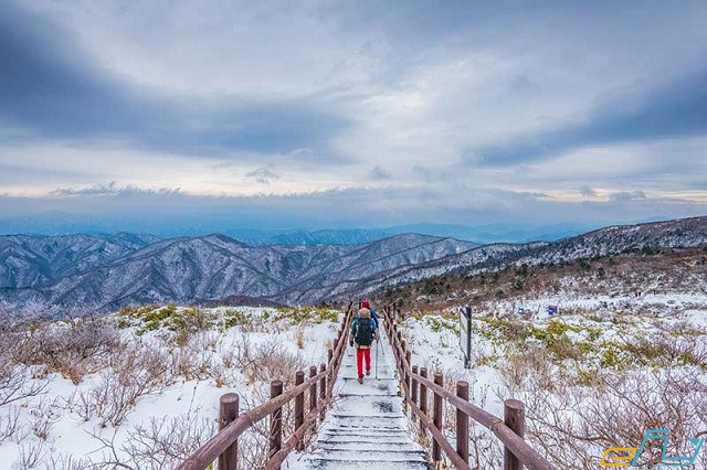 Những địa điểm trượt tuyết ở Hàn Quốc cực hấp dẫn
