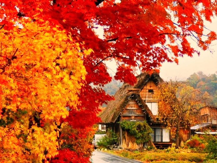 mãn nhãn mùa thu đầy sắc màu ở nhật bản