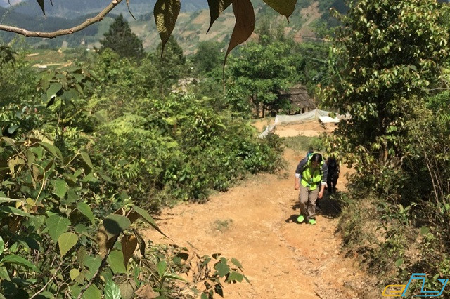 kinh nghiệm trekking tà xùa – yên bái
