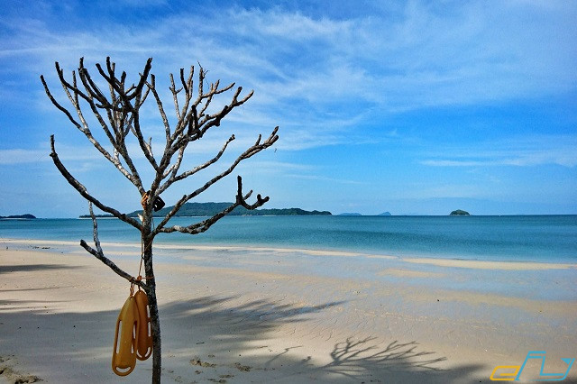 Những bãi biển đẹp nhất ở Việt Nam nên đến trong hè này