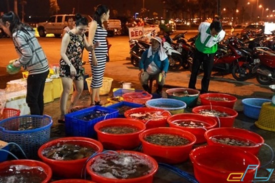 ghé thăm những chợ hải sản tươi sống nổi tiếng tại đà nẵng