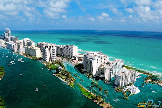 Top 6 khách sạn gần sân bay ở Miami được ưa chuộng nhất