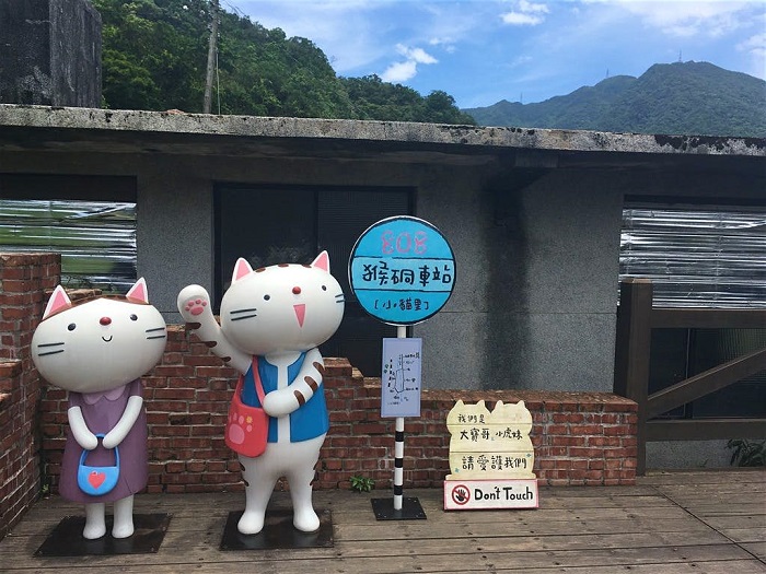 Đi tour du lịch Đài Loan 5n4d đừng quên ghé qua ngôi làng mèo hoang Houtong