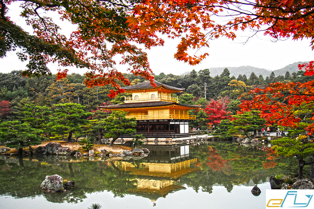 kinh nghiệm du lịch chùa vàng kinkakuji nhật bản