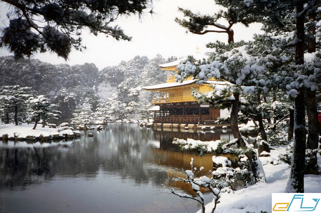 kinh nghiệm du lịch chùa vàng kinkakuji nhật bản