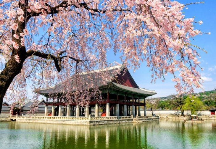 Du lịch Hàn Quốc giá bao nhiêu? nên đi theo tour trọn gói hay tự túc?