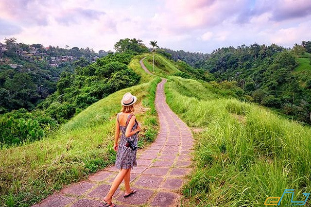 Cơ hội khám phá “trái tim” của Bali khi du lịch Ubud