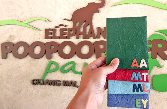 trải nghiệm làm giấy từ phân voi trong tour du lịch thái lan