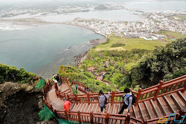 Du lịch Jeju mùa nào đẹp nhất?