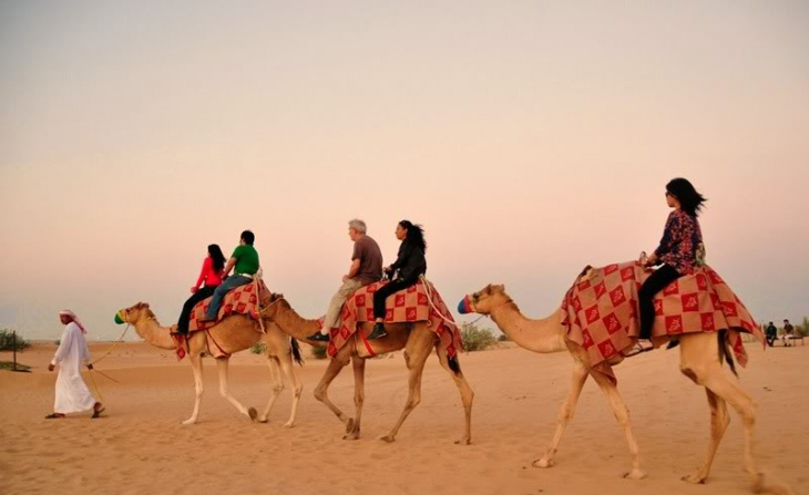 safari dubai – khu bảo tồn sa mạc kỳ bí