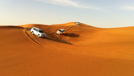 safari dubai – khu bảo tồn sa mạc kỳ bí