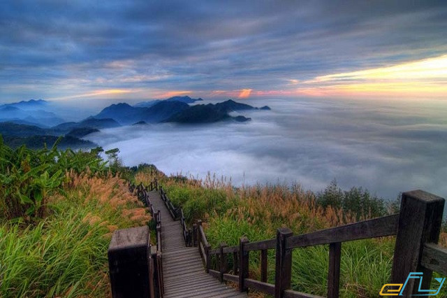 Núi Alishan – cảnh đẹp hút hồn miền Nam Đài Loan