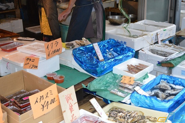 khám phá những khu chợ cá nổi tiếng nhất ở nhật bản