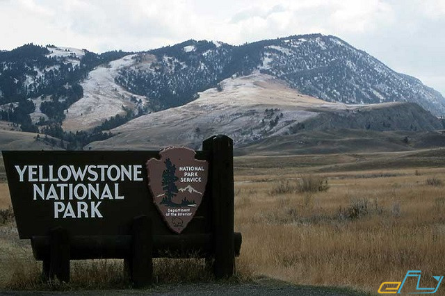phá đảo vườn quốc gia yellowstone ở mỹ