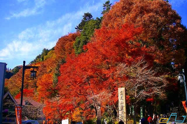 Khám phá nét đẹp của núi Takao Nhật Bản