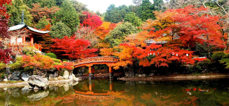 tới tokyo thăm ngôi chùa daigo – ji đẹp hút hồn
