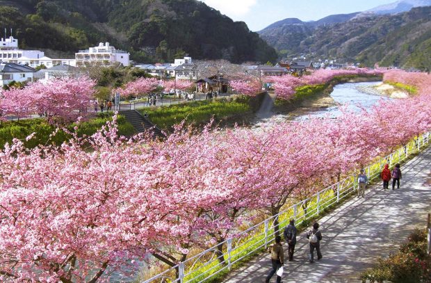 Đi du lịch Nhật Bản vào tháng 2 có gì thú vị?