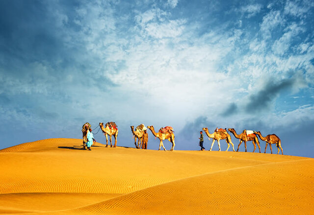 những trải nghiệm thú vị tại sa mạc sarafi trong tour du lịch dubai
