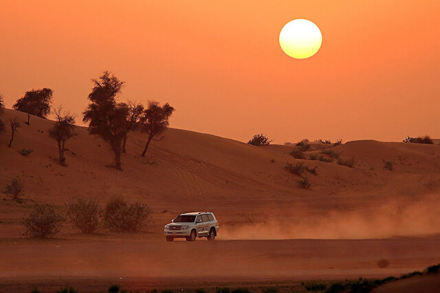 những trải nghiệm thú vị tại sa mạc sarafi trong tour du lịch dubai
