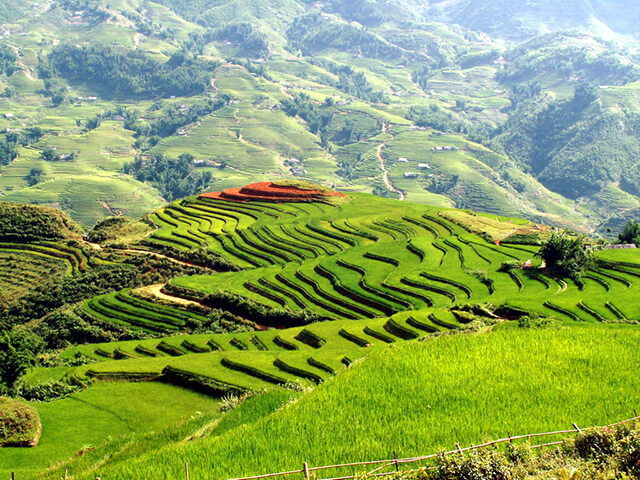 5 địa điểm tham quan tuyệt đẹp trong tour du lịch sapa