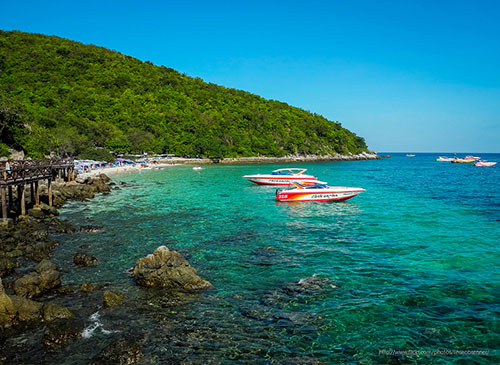 Khám phá địa điểm du lịch mới ở đảo Koh Larn Thái Lan