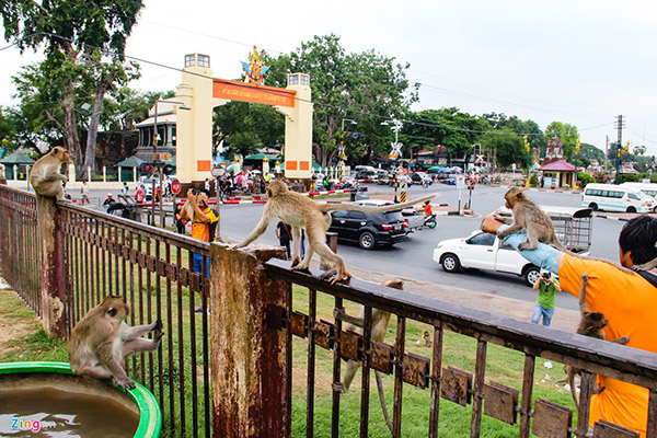 Sức hút của thị trấn Lopburi - 
