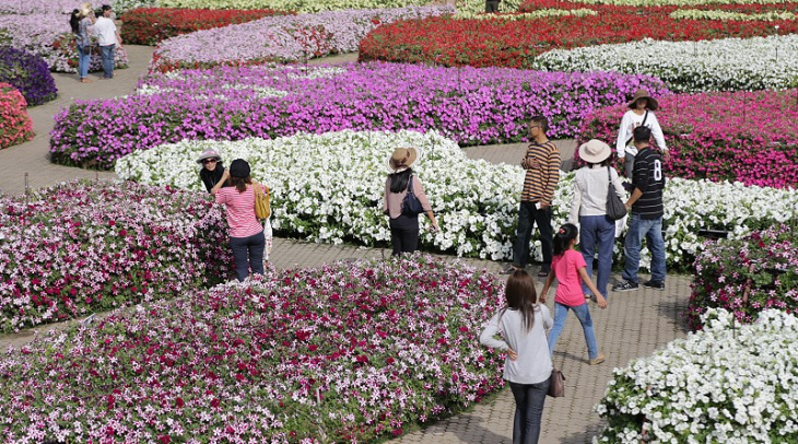 thái lan, văn hóa thái lan, ba lễ hội hoa rực rỡ diễn ra vào cuối năm ở thái lan