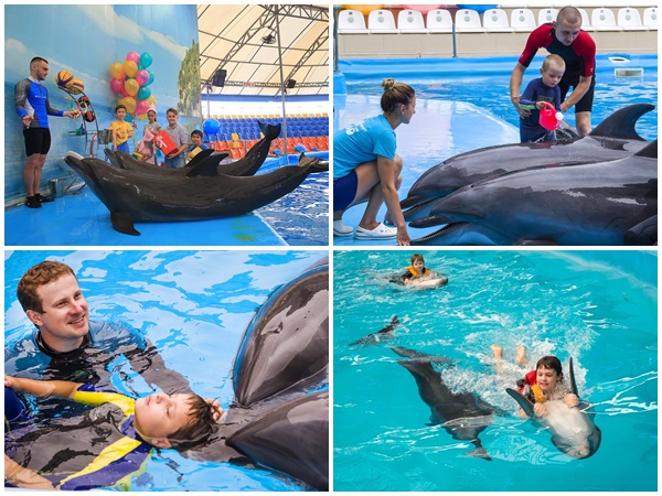 điểm đẹp, thái lan, khu giải trí pattaya dolphinarium đầy tuyệt vời tại chonburi, thái lan