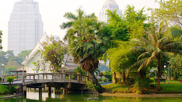 Tham quan công viên Lumphini khi du lịch Thái Lan