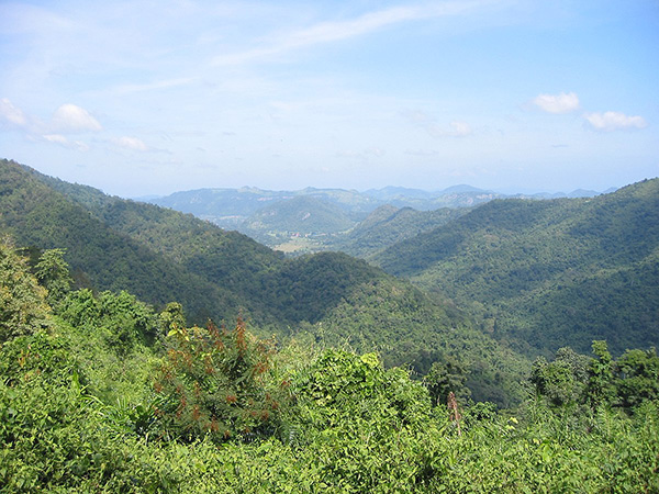 điểm đẹp, thái lan, vẻ đẹp của quần thể rừng dong phaya yen - khao yai ở thái lan